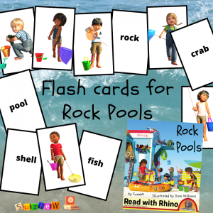 flashcards for rock pools